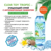 Очищающий спрей для игрушек CLEAR TOY Tropic - 100 мл. - Биоритм - купить с доставкой в Волгодонске