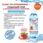 Очищающий спрей для игрушек CLEAR TOY Strawberry - 100 мл. - Биоритм - купить с доставкой в Волгодонске