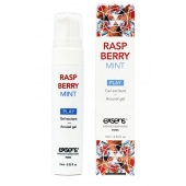 Возбуждающий гель Raspberry Mint с ароматом малины и мяты - 15 мл. - Exsens - купить с доставкой в Волгодонске