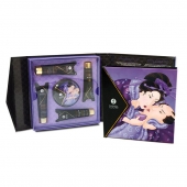 Подарочный набор Geishas secret из 5 предметов - Shunga - купить с доставкой в Волгодонске
