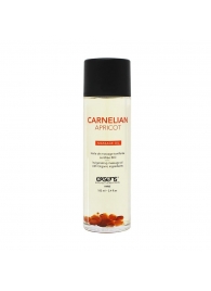 Органическое массажное масло CARNELIAN APRICOT - 100 мл. - Exsens - купить с доставкой в Волгодонске