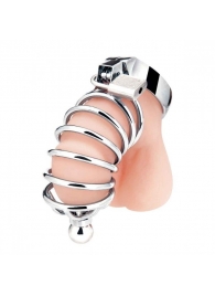 Серебристая клетка для члена Urethral Play Cage - BlueLine - купить с доставкой в Волгодонске