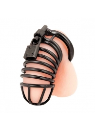 Черная металлическая клетка с замком Deluxe Chastity Cage - BlueLine - купить с доставкой в Волгодонске