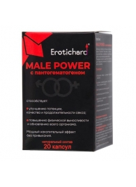 Капсулы для мужчин Erotichard male power с пантогематогеном - 20 капсул (0,370 гр.) - Erotic Hard - купить с доставкой в Волгодонске