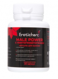 Капсулы для мужчин Erotichard male power с пантогематогеном - 20 капсул (0,370 гр.) - Erotic Hard - купить с доставкой в Волгодонске