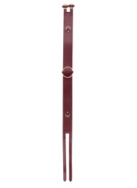 Бордовый ремень Halo Waist Belt - размер L-XL - Shots Media BV - купить с доставкой в Волгодонске