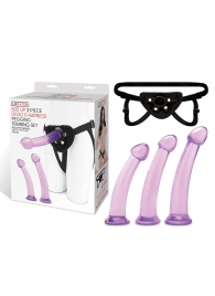 Тренировочный набор с тремя насадками Pegging Training Set - Lux Fetish - купить с доставкой в Волгодонске