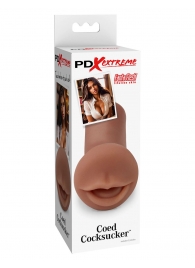 Мастурбатор-ротик Coed Cocksucker - Pipedream - в Волгодонске купить с доставкой