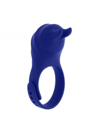 Синее эрекционное виброкольцо с клиторальной подушечкой и пультом ДУ Adjustable Fun Ring - Zero Tolerance - в Волгодонске купить с доставкой