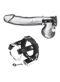 Утяжка на пенис на замочке Duo Cock And Ball Lock - BlueLine - купить с доставкой в Волгодонске