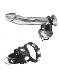 Утяжка для мошонки и пениса Cock Ring With 1  Ball Stretcher And Optional Weight Ring - BlueLine - купить с доставкой в Волгодонске