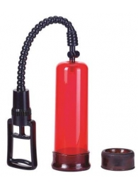 Вакуумная помпа с двумя сменными насадками NEW STAY HARD PUMP CLEAR RED - Seven Creations - в Волгодонске купить с доставкой