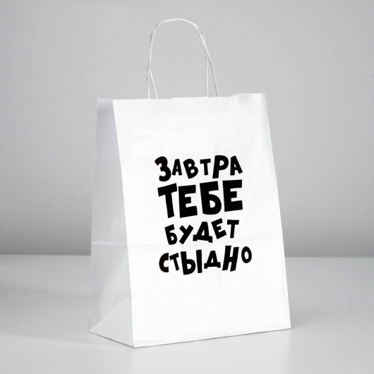 Подарочный пакет  Завтра тебе будет стыдно  - 30 х 24 см. - UPAK LAND - купить с доставкой в Волгодонске