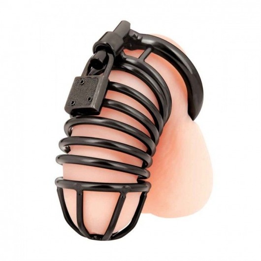 Черная металлическая клетка с замком Deluxe Chastity Cage - BlueLine - купить с доставкой в Волгодонске