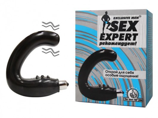 Чёрный массажёр простаты серии Sex Expert - Sex Expert - в Волгодонске купить с доставкой