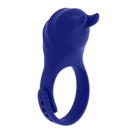 Синее эрекционное виброкольцо с клиторальной подушечкой и пультом ДУ Adjustable Fun Ring - Zero Tolerance - в Волгодонске купить с доставкой